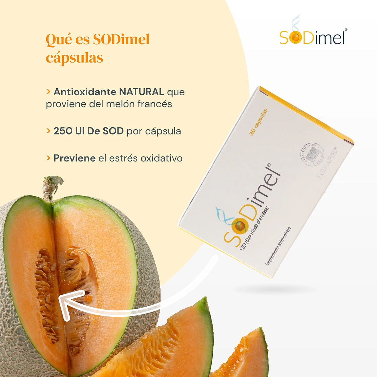 FARMAPIEL SODIMEL SUPLEMENTO ALIMENTICIO 60CAPS