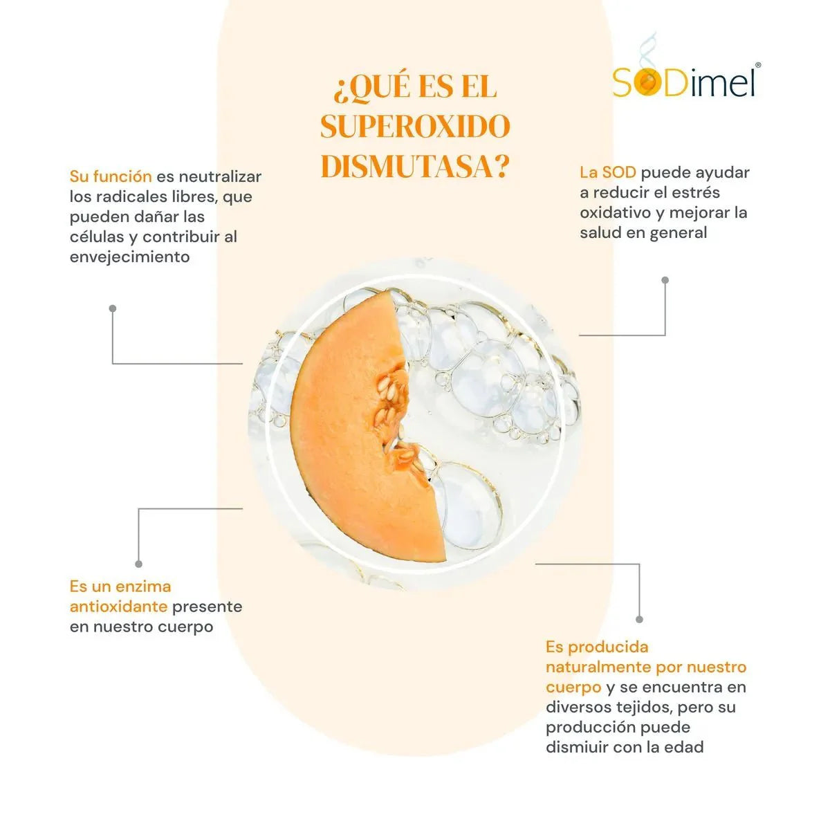 FARMAPIEL SODIMEL SUPLEMENTO ALIMENTICIO 60CAPS